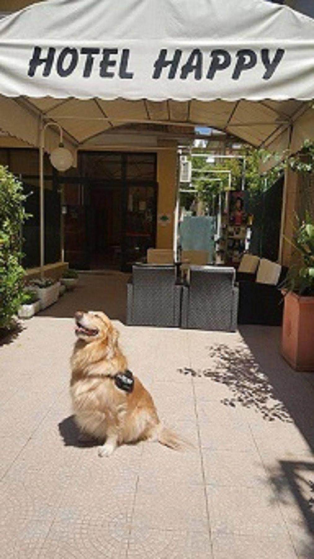 Hotel New Happy Rimini Dış mekan fotoğraf